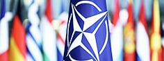 Беларусь в НАТО — это реальность