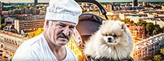 Лукашенко в роли шпица