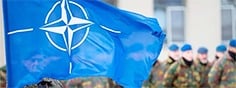 НАТО приструнит Лукашенко